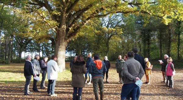 Les Rencontres nationales des territoires forestiers pour «&nbsp;Repenser le dialogue autour de la forêt&nbsp;»