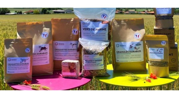 La plus grande filière de production d’insectes d’Europe en déploiement en Auvergne-Rhône-Alpes