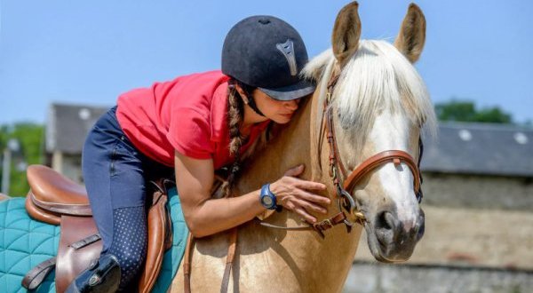 Une journée mondiale du cheval fixée par l’ONU au 11 juillet