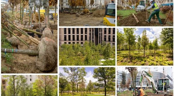 Paris&nbsp;: la place de Catalogne en forêt urbaine
