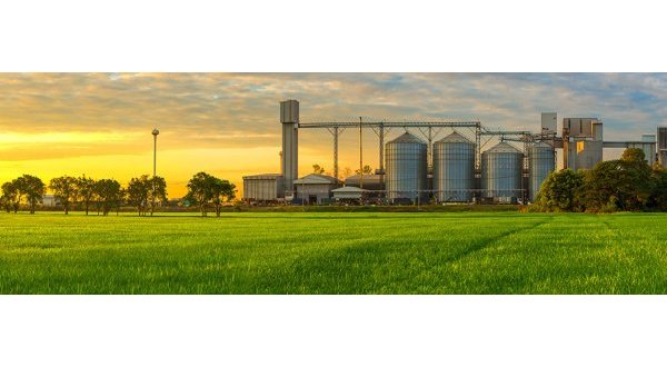 La Région Normandie s’engage dans la bioéconomie