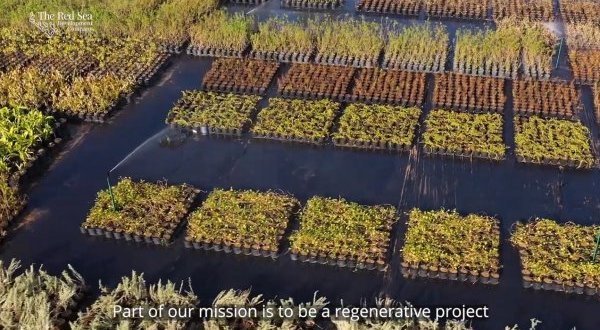 Les gagnants du concours vidéo touristique de l’OMT 2021