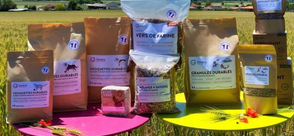 La plus grande filière de production d’insectes d’Europe en déploiement en Auvergne-Rhône-Alpes