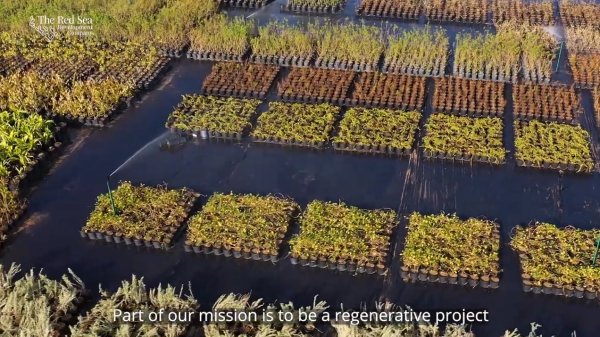 Les gagnants du concours vidéo touristique de l’OMT 2021