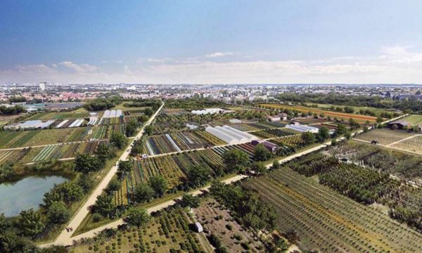 Une plaine agricole de 2300 hectares à deux pas du marché de Rungis