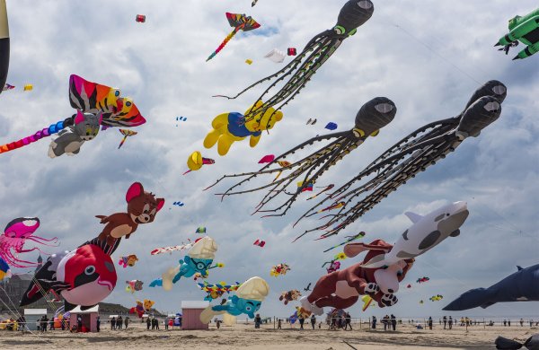 1ère édition du WORLD KITE CUP BERCK-SUR-MER 1ère édition du WORLD KITE CUP BERCK-SUR-MER