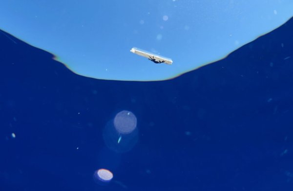 Un guide pour aider les collectivités à lutter contre les plastiques