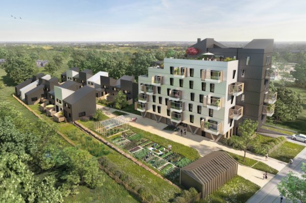 Île ô Bois, l’innovation en habitat collectif à ossature bois
