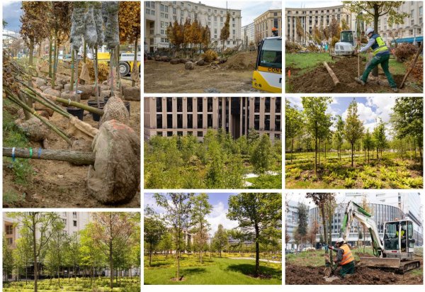 Paris&nbsp;: la place de Catalogne en forêt urbaine