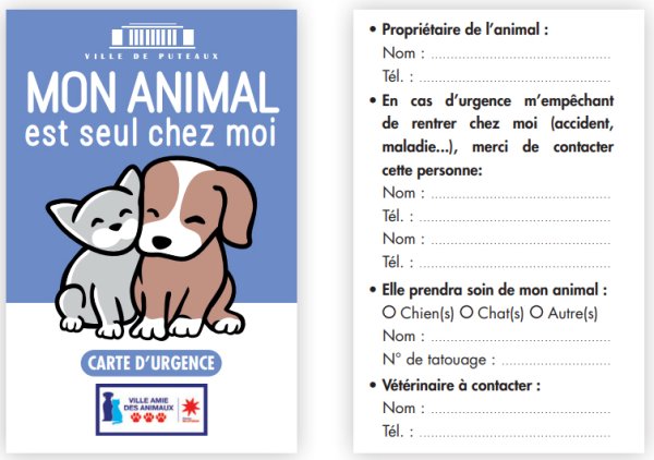 Puteaux lance une carte d’urgence pour les animaux domestiques