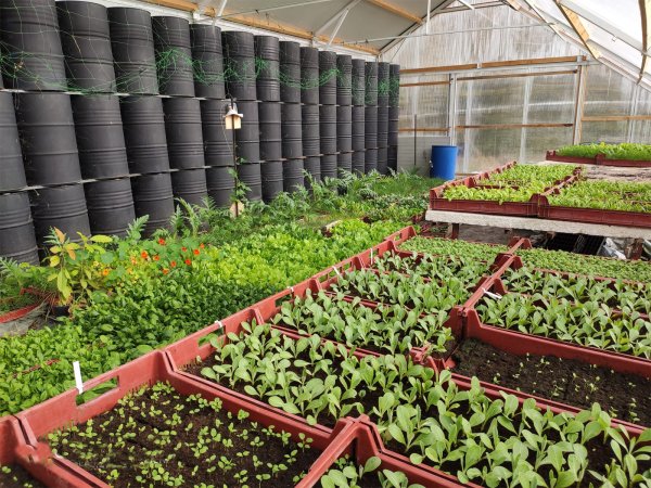 Serres bioclimatiques en Provence recherchent porteurs de projet
